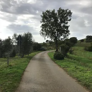 Casa vacanze Podere Pini 